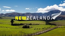 New Zealand Resident Visa